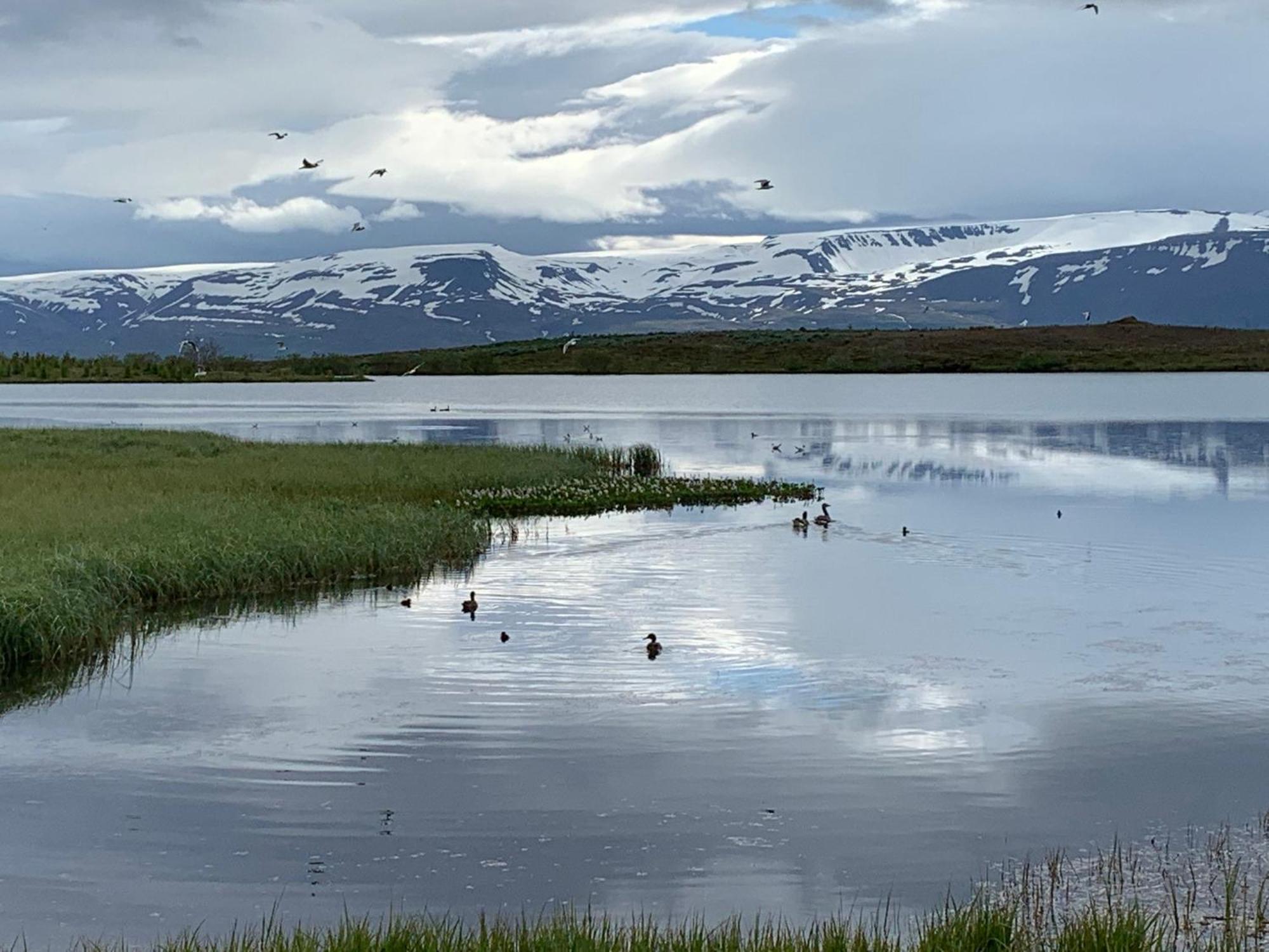 Kaldbaks-Kot Cottages Húsavík Kültér fotó