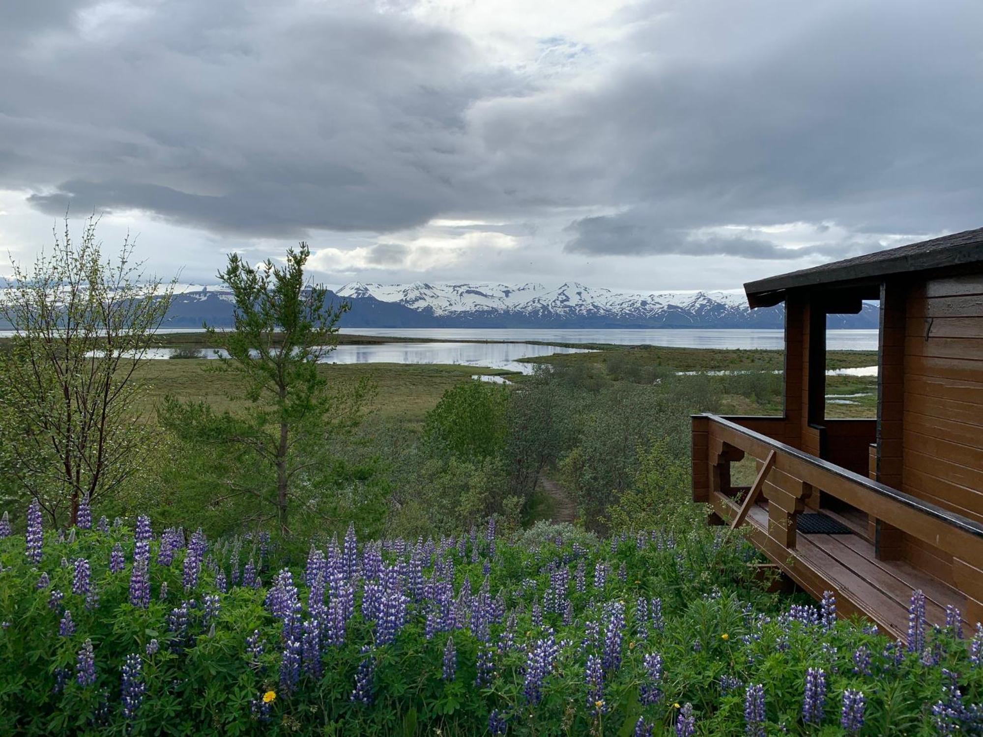 Kaldbaks-Kot Cottages Húsavík Kültér fotó