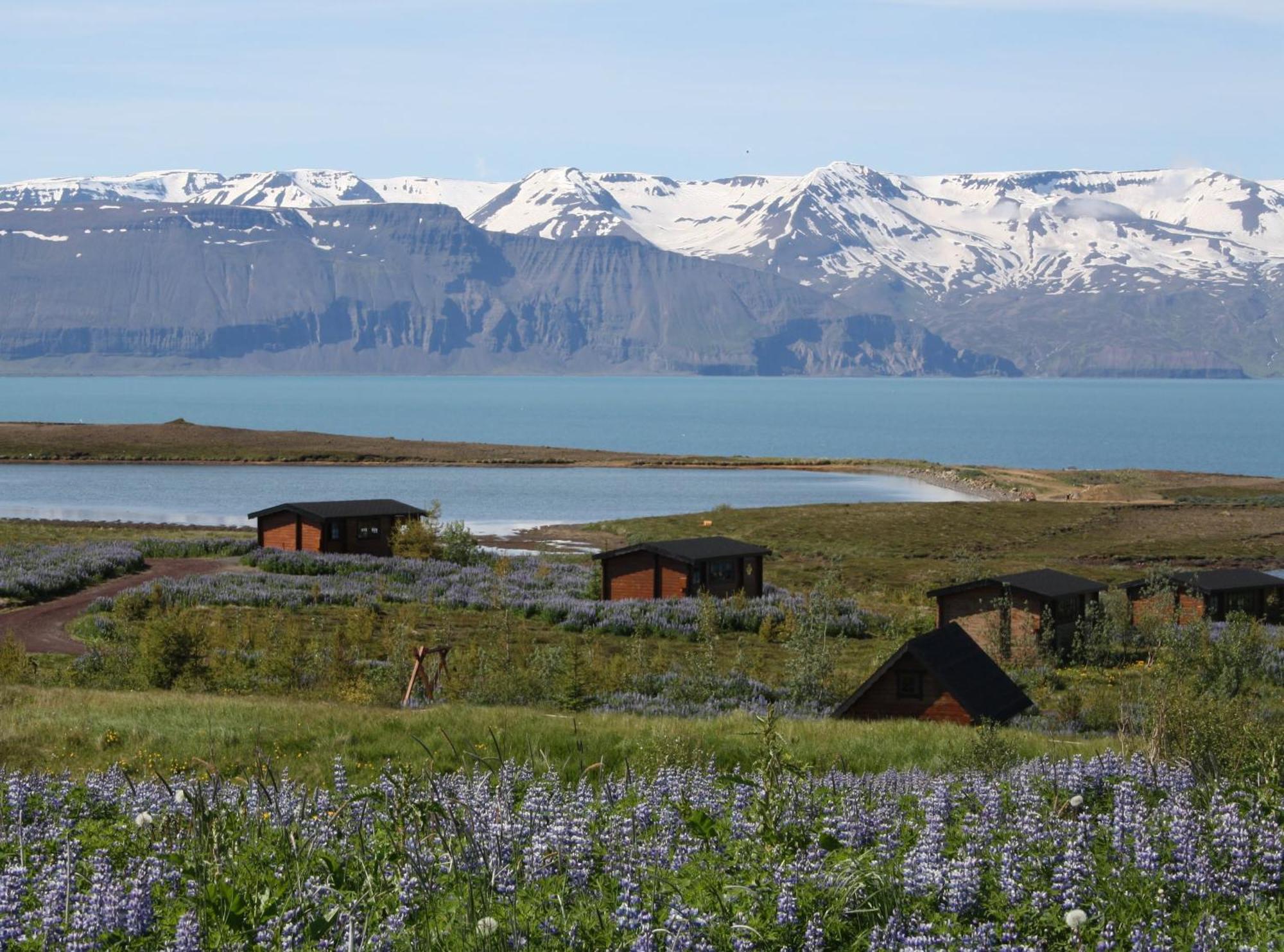 Kaldbaks-Kot Cottages Húsavík Kültér fotó